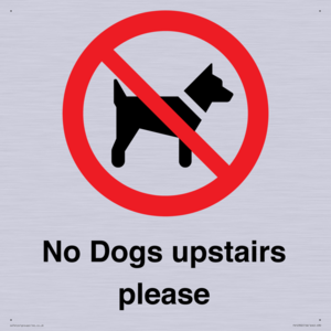 No Dogs upstairs please 